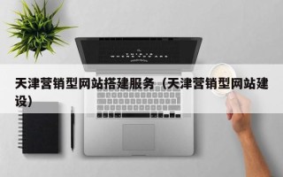 瑞安天津营销型网站搭建服务（天津营销型网站建设）