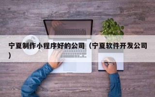 瑞安宁夏制作小程序好的公司（宁夏软件开发公司）